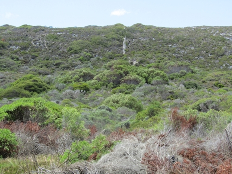 0 Bedroom Property for Sale in Suiderstrand Western Cape